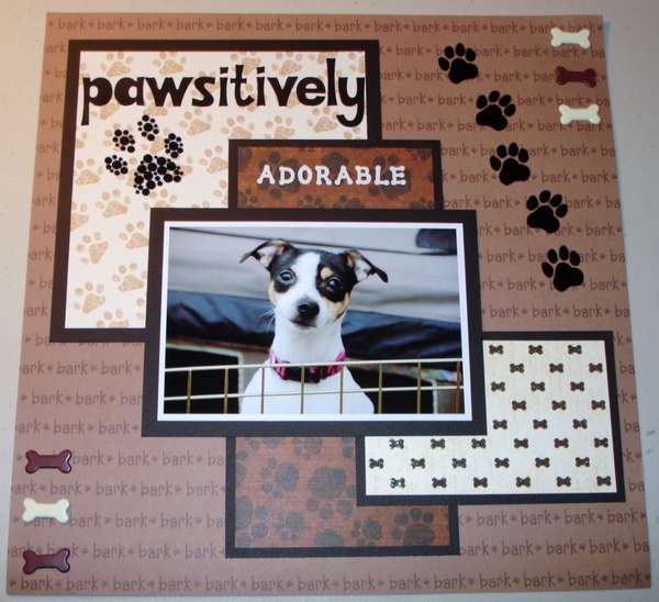 \"Pawsitively\"